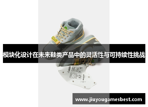 模块化设计在未来鞋类产品中的灵活性与可持续性挑战